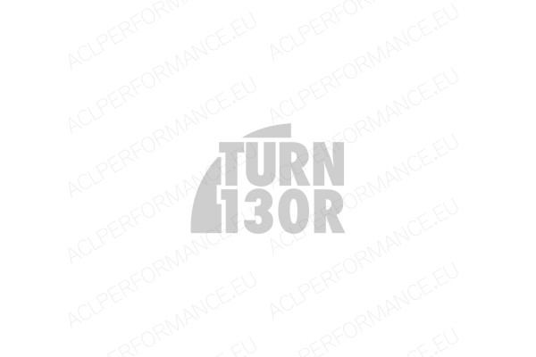 ACL Performance Main Bearings for Focus 3 RS (2.3 Ecoboost), ST (2.0 Ecoboost)