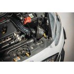 Pipercross Intake System Ford Fiesta ST MK8