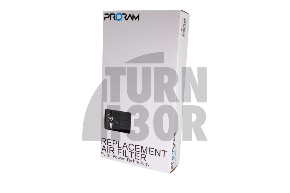 Ramair Proram Panel Air Filters for Mercedes C63 AMG W205