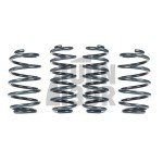 Racingline Sport Springs Skoda Octavia NX vRS