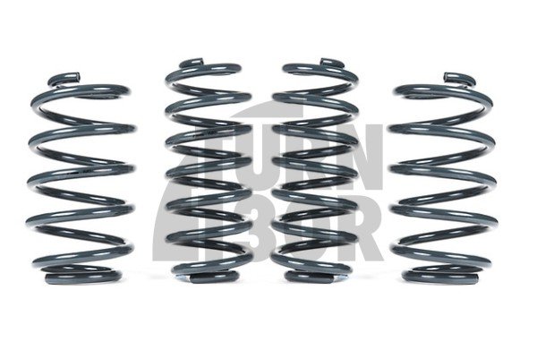 Racingline Sport Springs Skoda Octavia NX vRS 