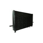 Black Mamba Mercedes A45 AMG W176 / CLA 45 AMG C117 Chargecooler Intercooler