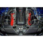 Eventuri Carbon Fiber Slam Panel Cover for Audi RS5 B8