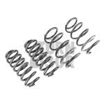 Racingline Sport Springs Audi S3 / RS3 8V / RS3 8Y
