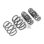Racingline Sport Springs Golf 7 R