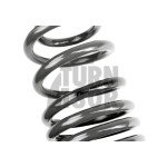 Racingline -20mm Sport Springs Golf 8 R