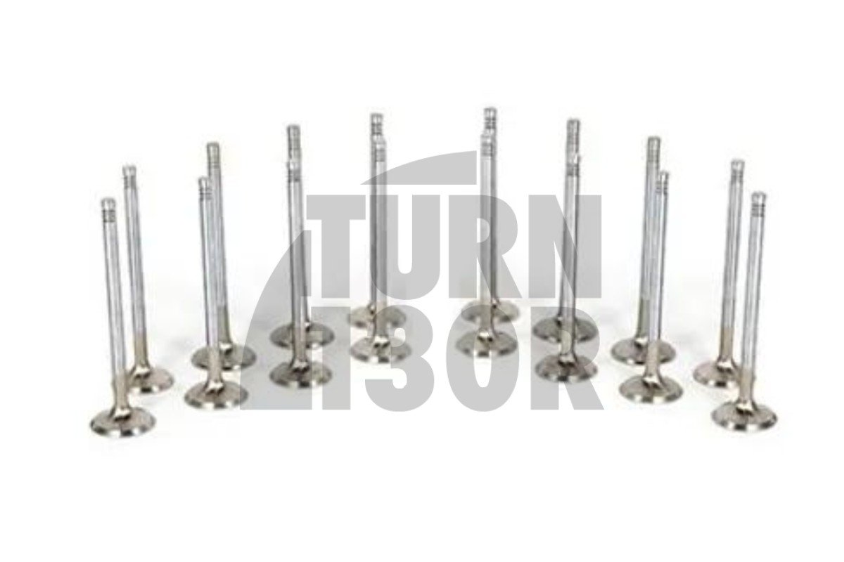 Mitsubishi Lancer Evo 7 / Evo 8 / Evo 9 Ferrea Competition Engine Valves x16