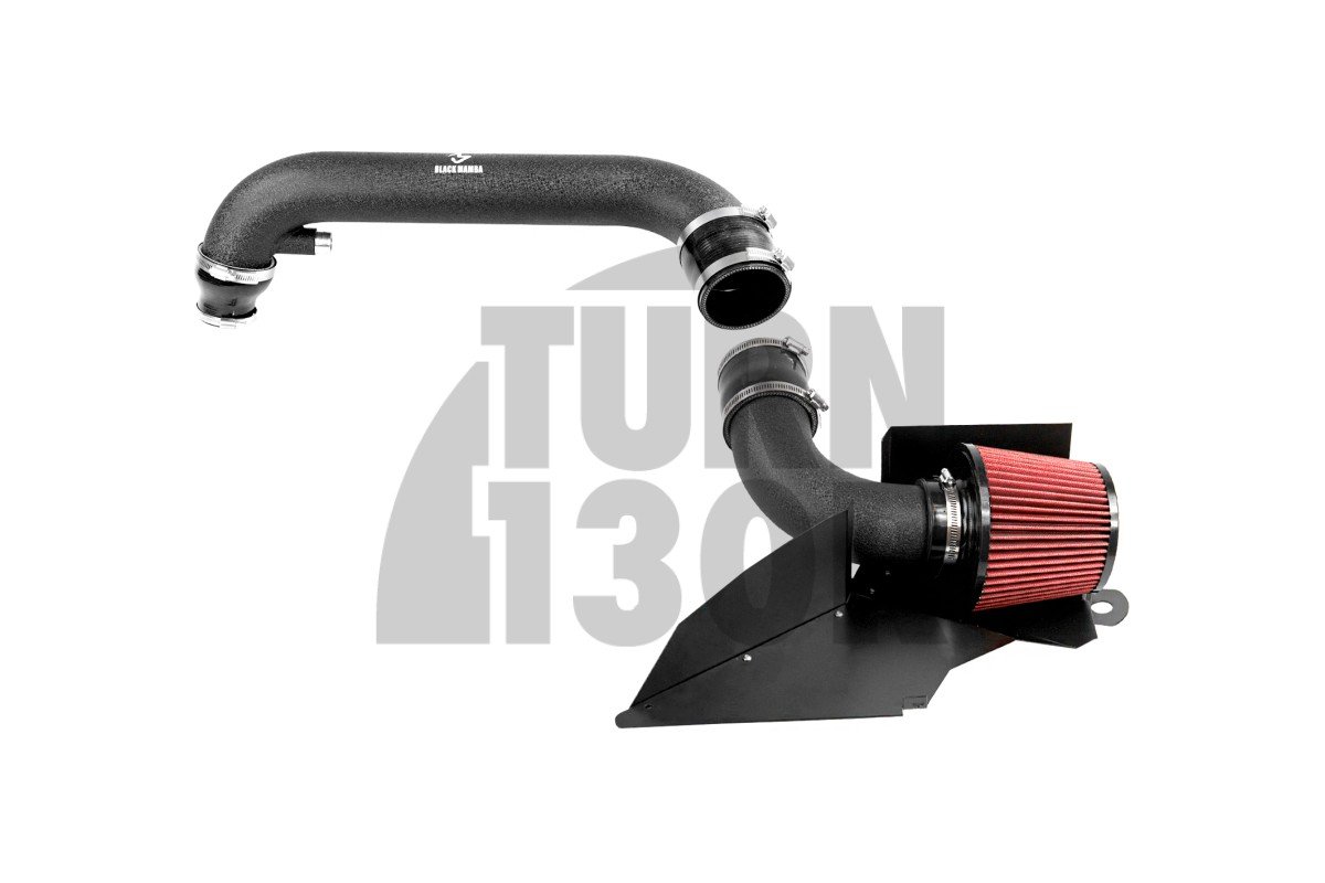 Black Mamba Golf 6 GTI / Scirocco / Leon 2 FR 2.0 TSI EA888 Intake