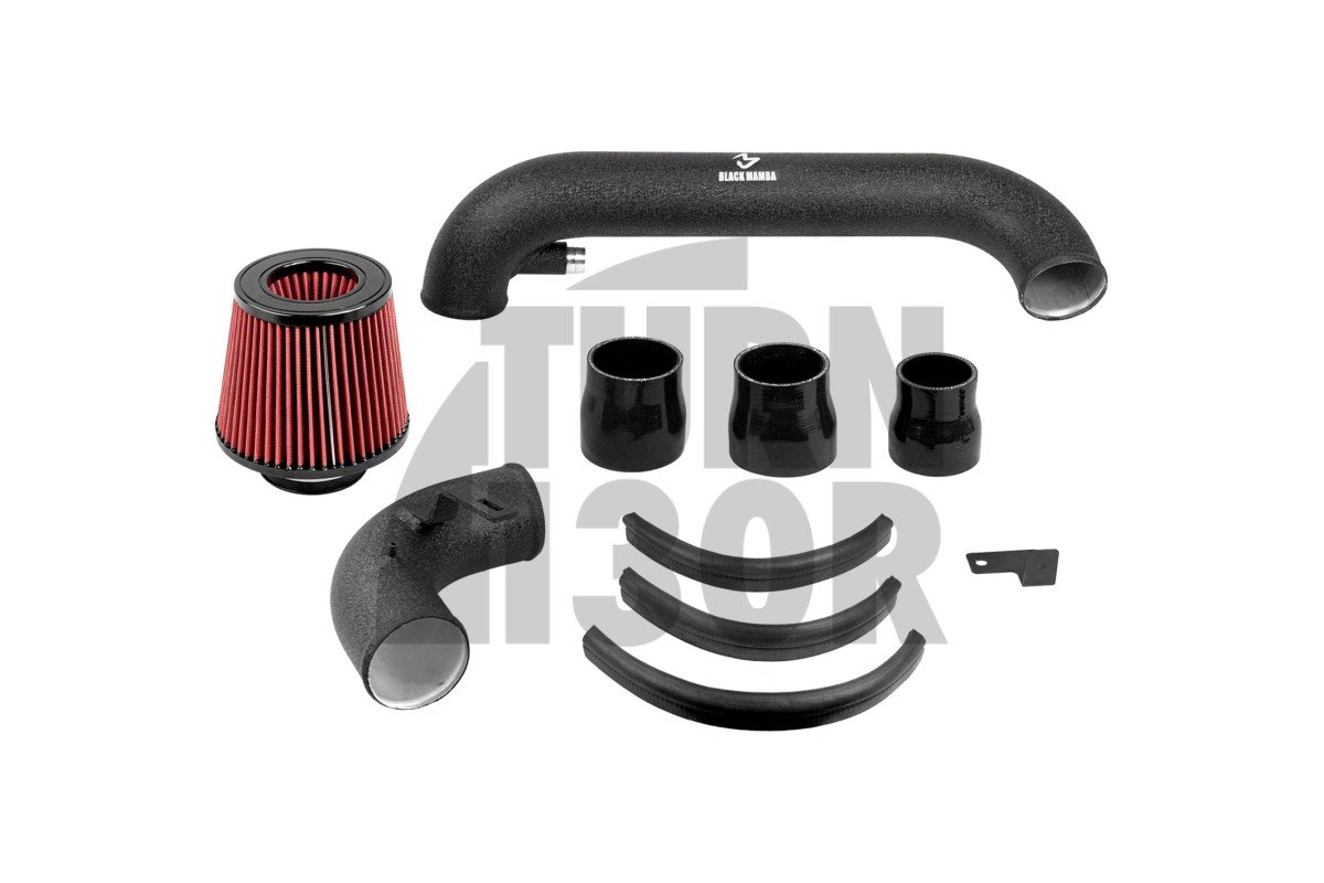 Black Mamba Golf 6 GTI / Scirocco / Leon 2 FR 2.0 TSI EA888 Intake