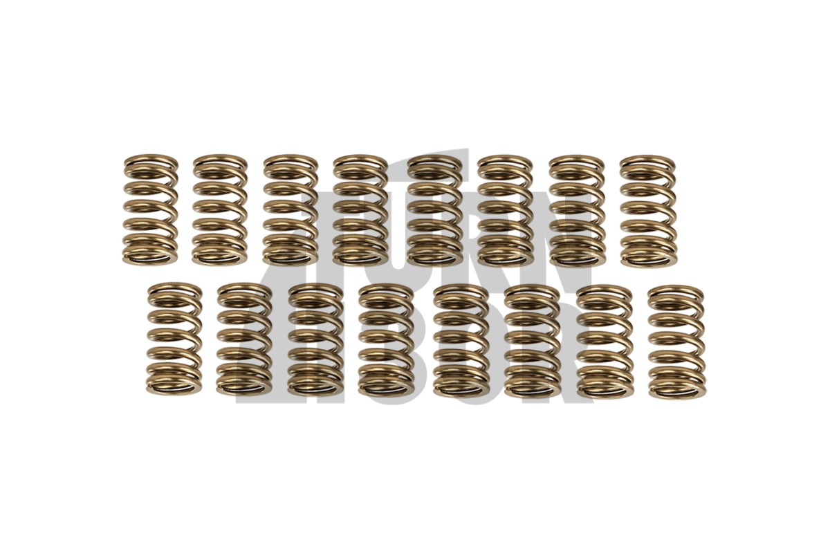 HKS Valve Springs Set for Mitsubishi Lancer Evo 8 - Evo 9 HKS Valve Springs Set for Mitsubishi Lancer Evo 8 - Evo 9