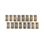 HKS Valve Springs Set for Mitsubishi Lancer Evo 8 - Evo 9 HKS Valve Springs Set for Mitsubishi Lancer Evo 8 - Evo 9