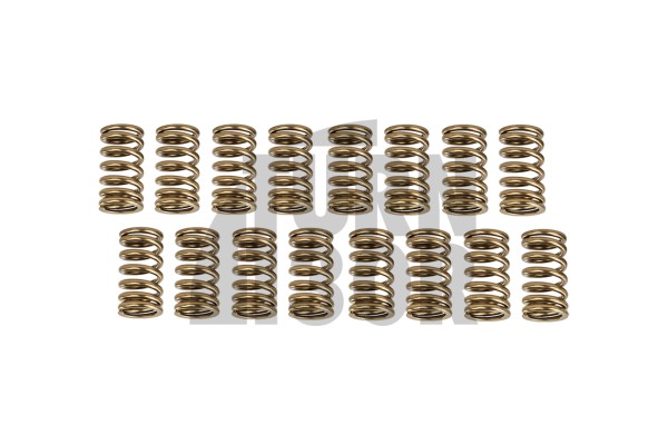 HKS Valve Springs Set for Mitsubishi Lancer Evo 8 - Evo 9 HKS Valve Springs Set for Mitsubishi Lancer Evo 8 - Evo 9