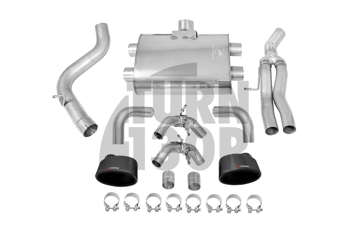 Scorpion Catback Exhaust for Audi TTRS Mk3 8S Scorpion Catback Exhaust for Audi TTRS Mk3 8S