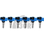 blue coil pack for Audi RS4 / S4 B5 and S4 / S5 B8 Alpha Competition