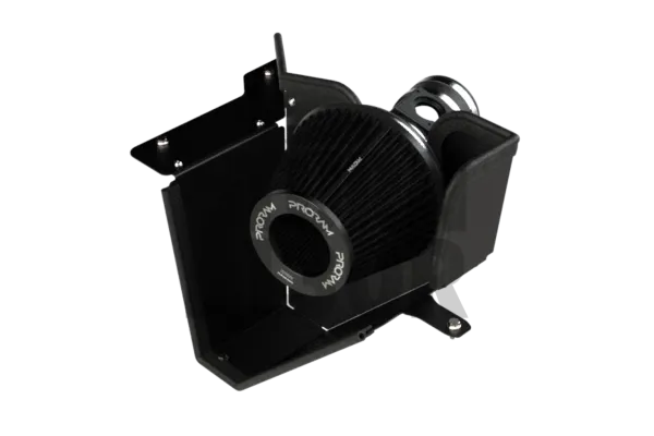 Honda Civic Type R FL5 Ramair Program Intake