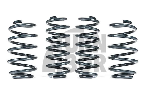 Racingline Sport Springs Skoda Octavia NX vRS 