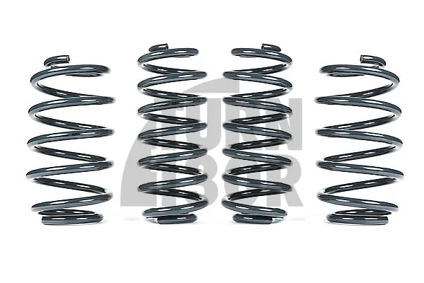 Racingline -25mm Sport Springs UP GTI 