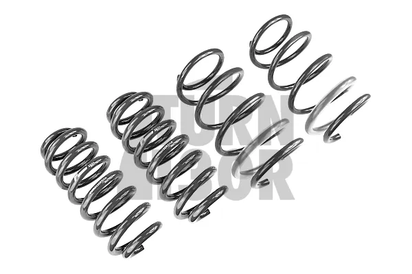 Racingline Sport Springs Audi S3 / RS3 8V / RS3 8Y 