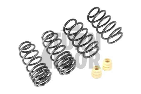 Racingline Sport Springs Golf 5 GTI / Golf 6 GTI / Leon 2 Cupra 