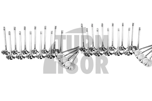 Nissan R35 GTR Ferrea Competition Plus Engine Valves x24
