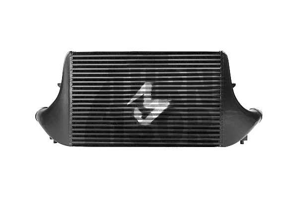 Black Mamba Ford Fiesta ST Mk8 Intercooler